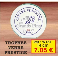 TROPHEE VERRE PRESTIGE : REF. W151 - 14 CM